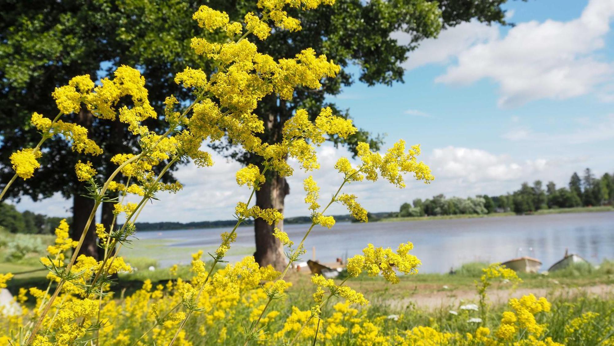 Komplett Laegenhet Med Sjoeutsikt Malmon ภายนอก รูปภาพ